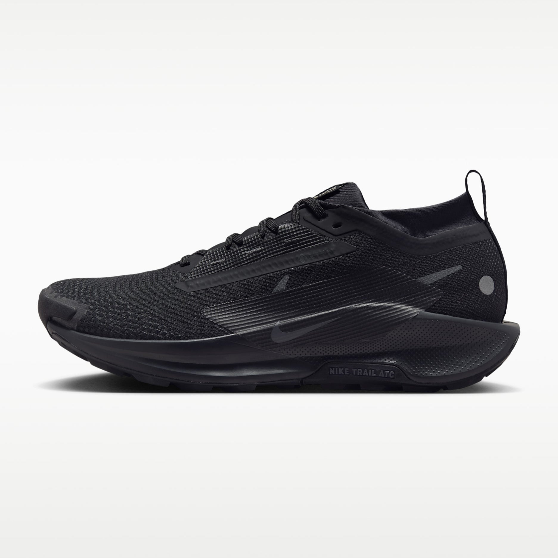 Nike Pegasus Trail 5 GORE-TEX