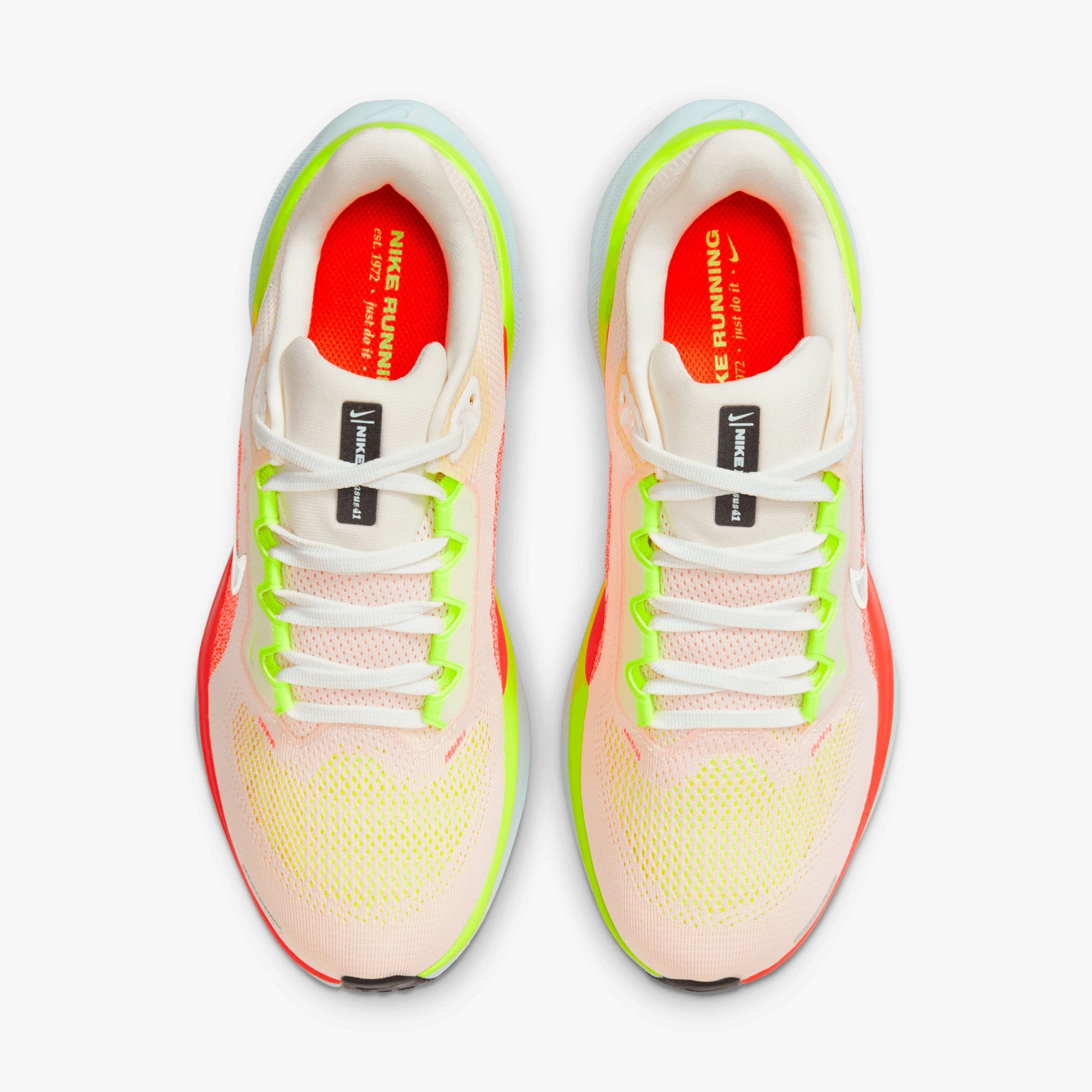 Nike Air Zoom Pegasus 41