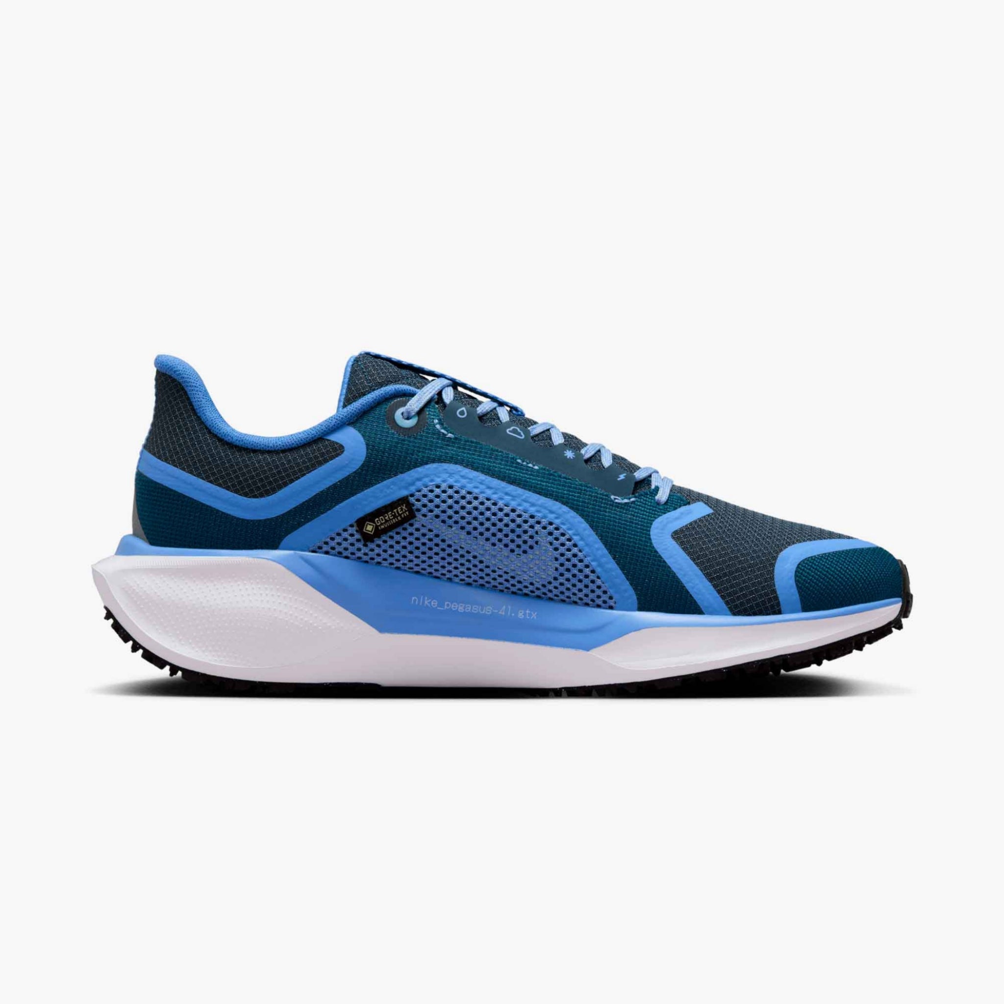 Nike Air Zoom Pegasus 41 GORE-TEX