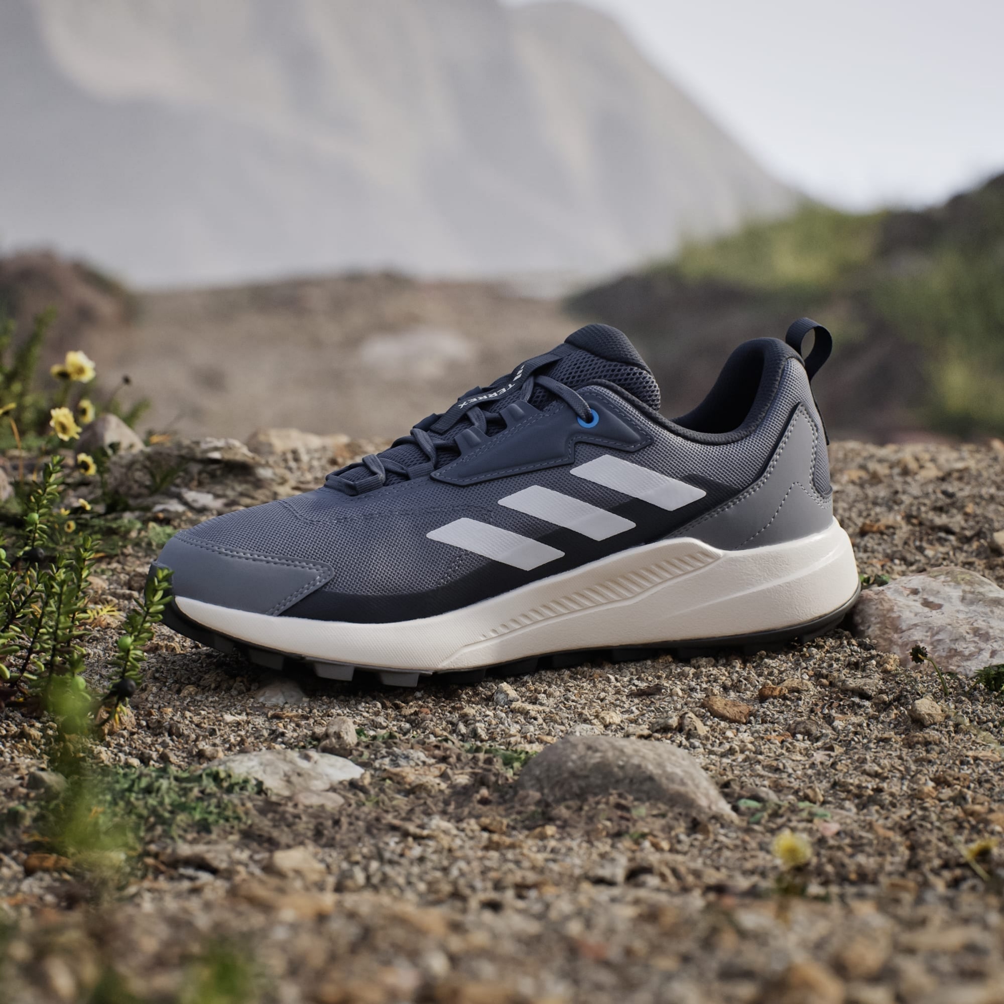 Adidas Terrex Anylander