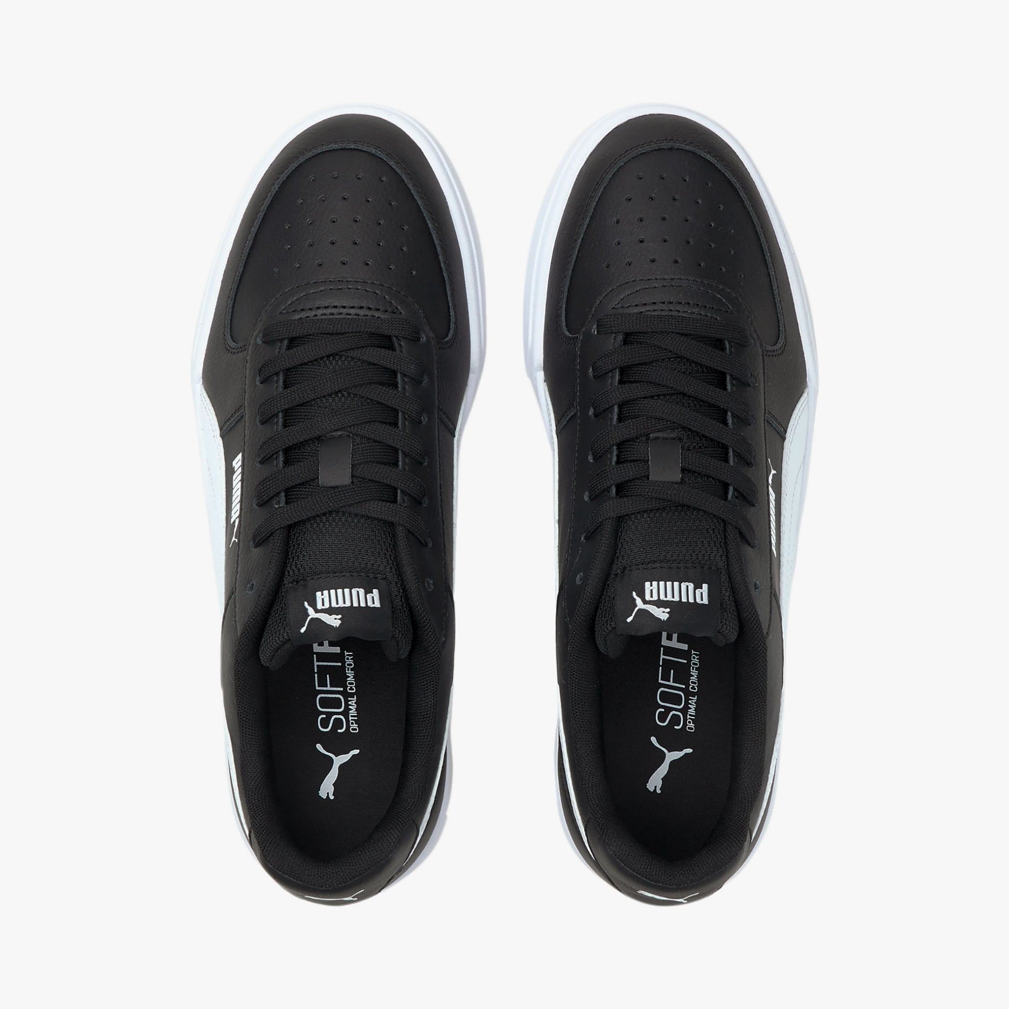 Puma Caven