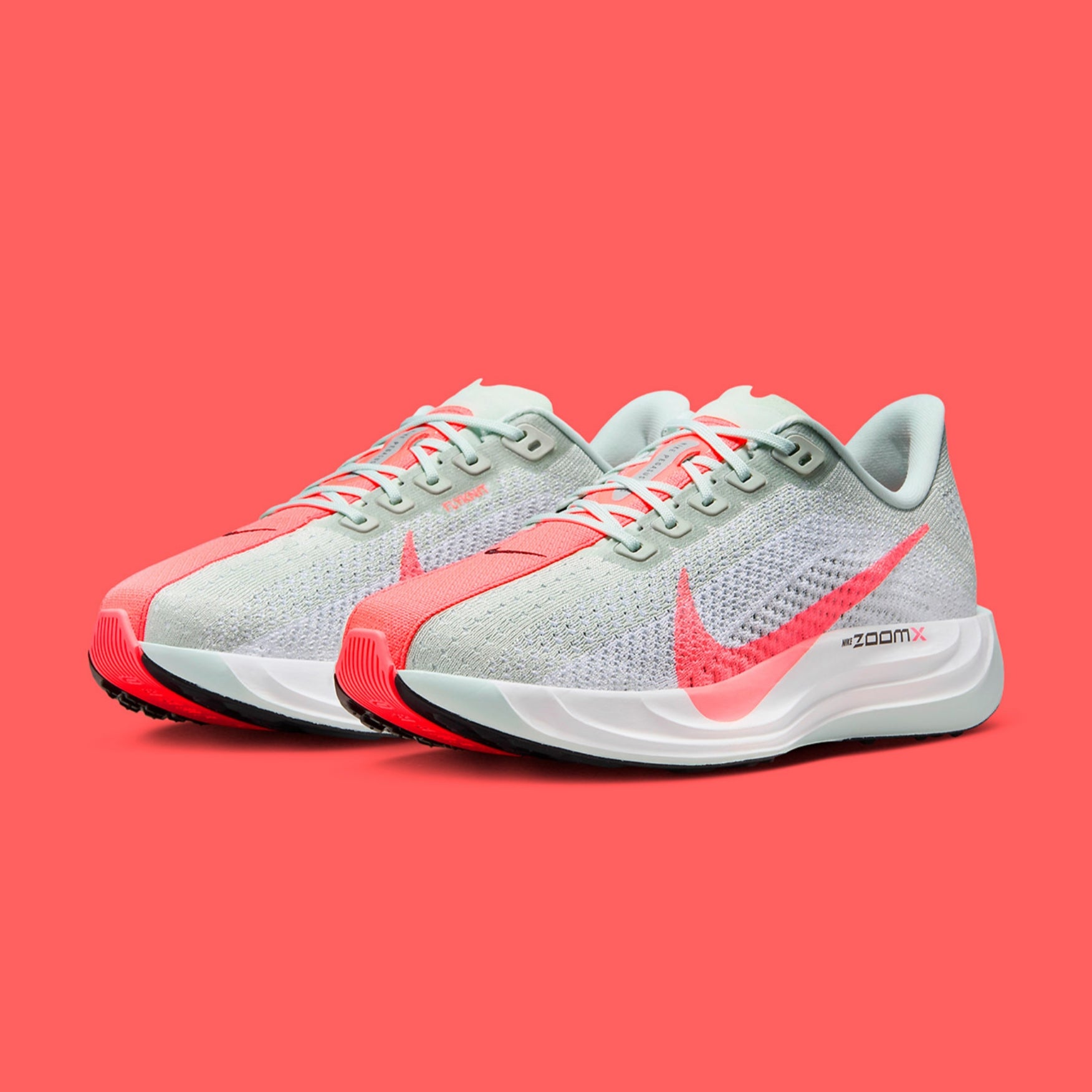 Nike Air ZoomX Pegasus Plus