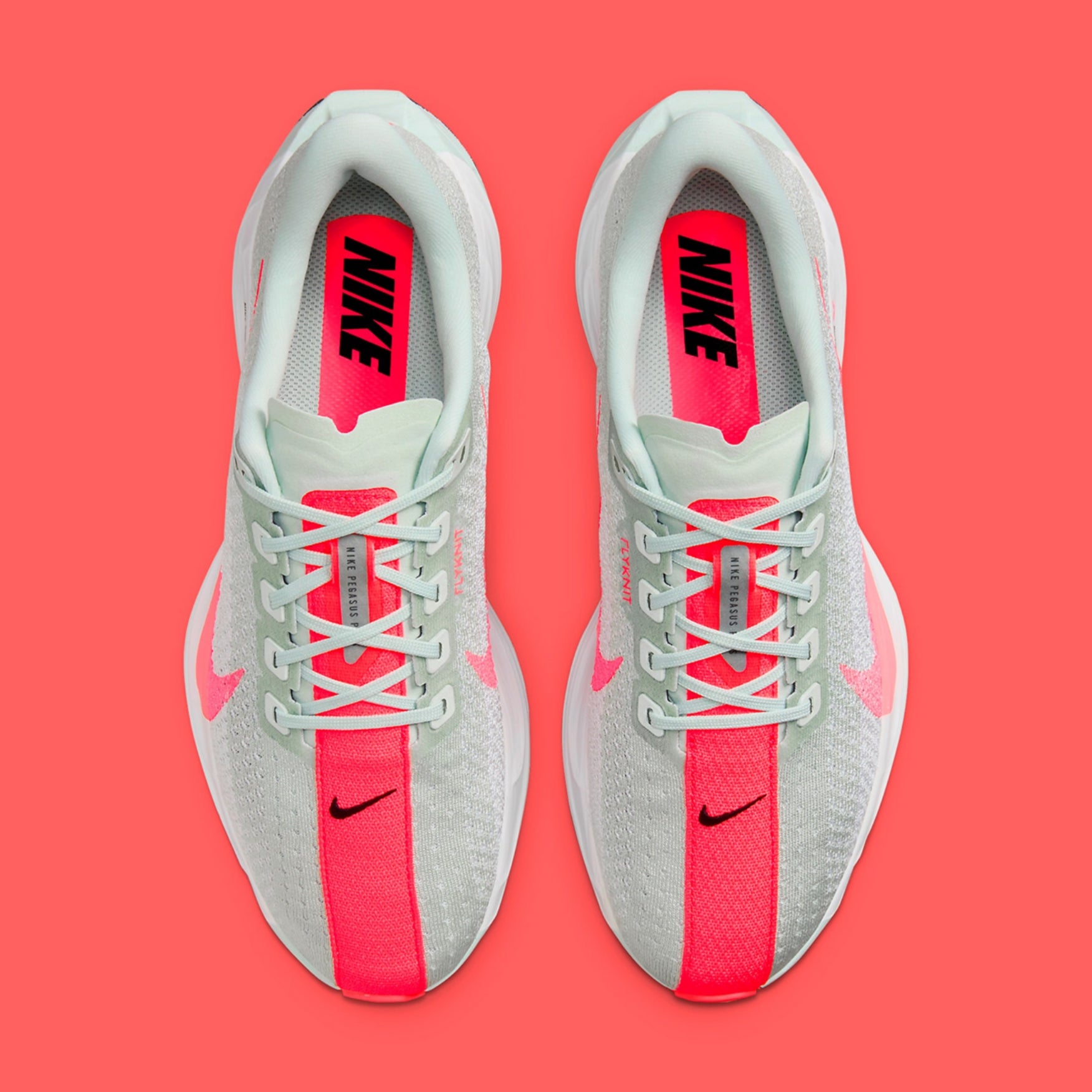 Nike Air ZoomX Pegasus Plus