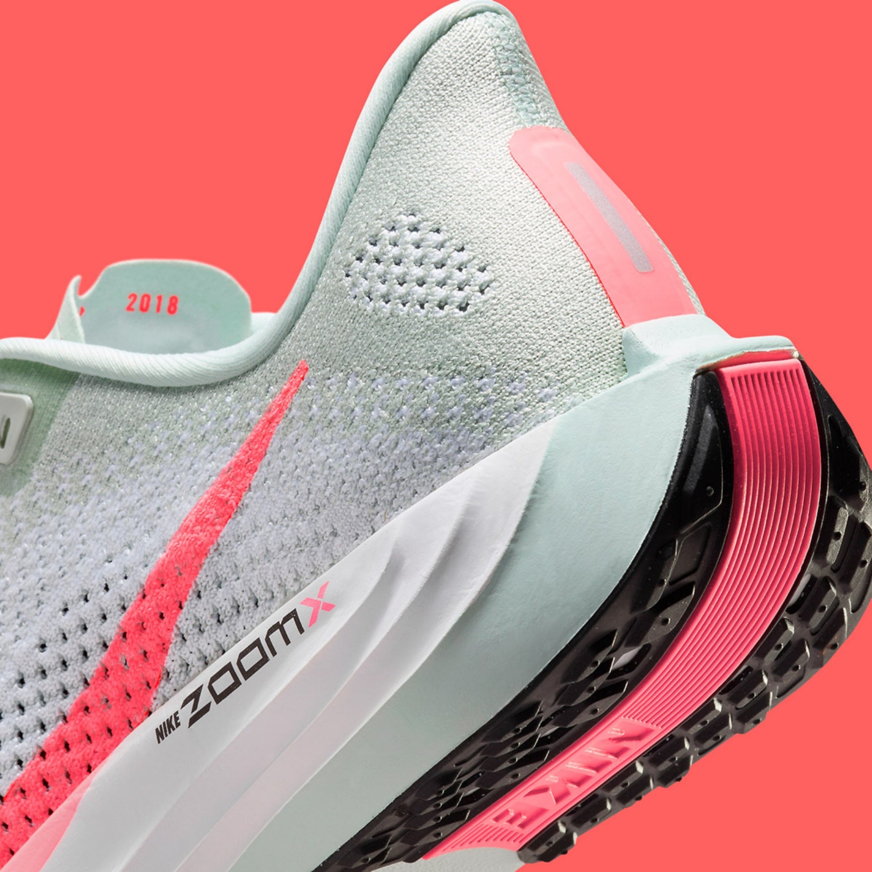 Nike Air ZoomX Pegasus Plus