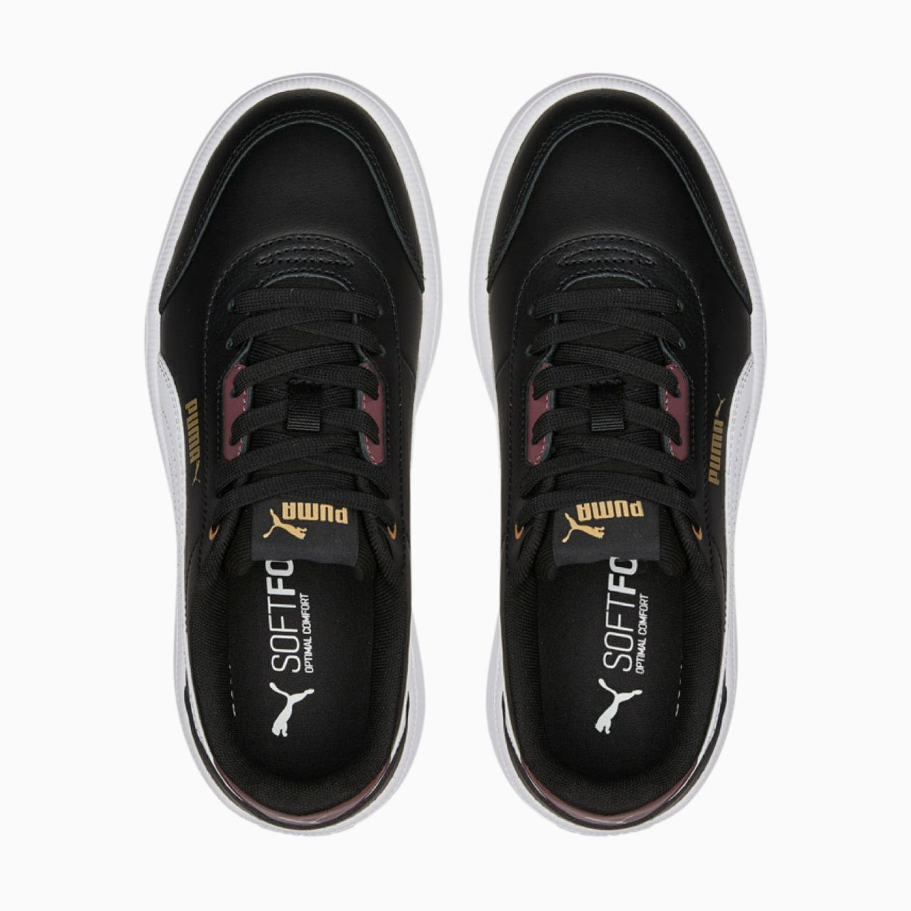 Puma Tori