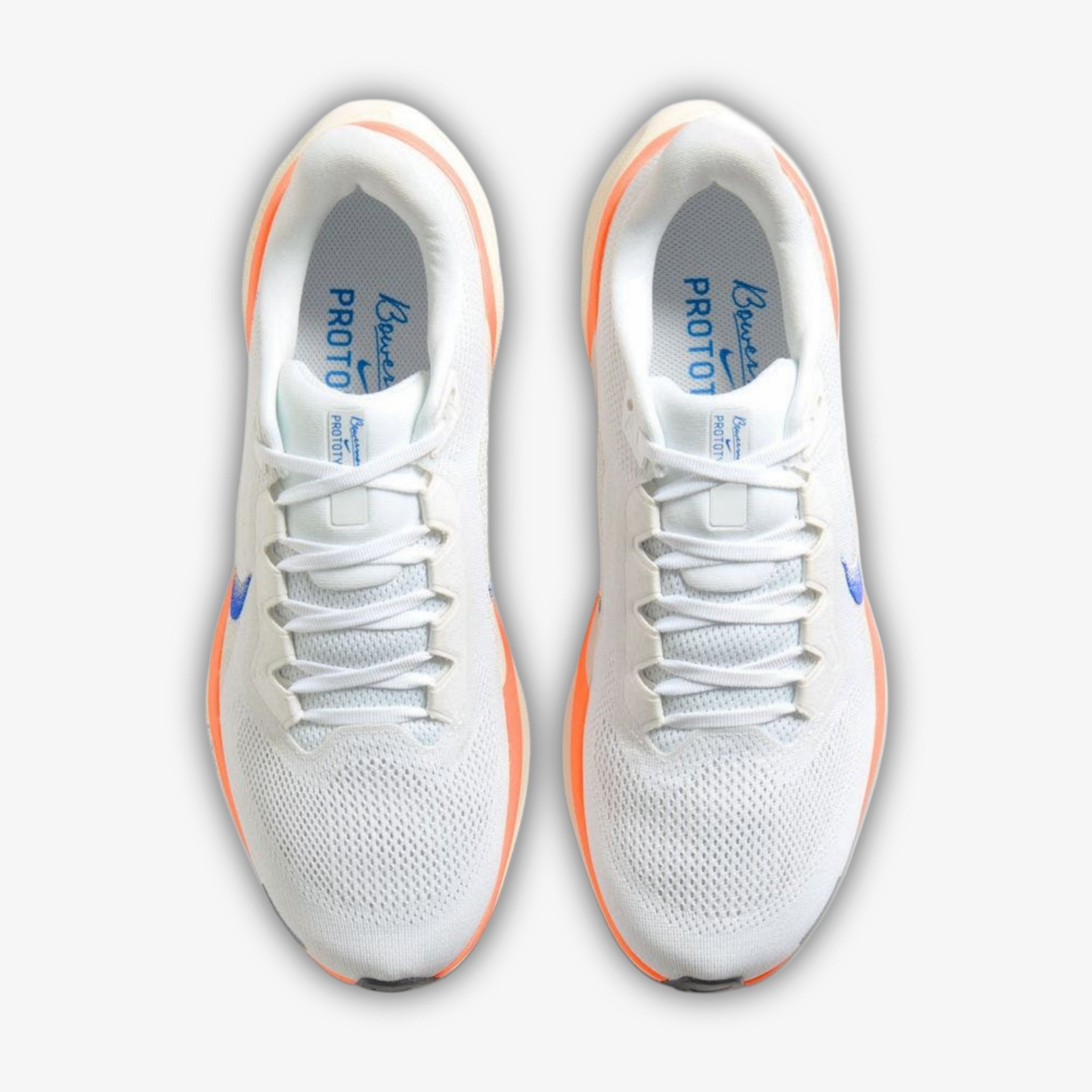 Nike Pegasus 41 Blueprint