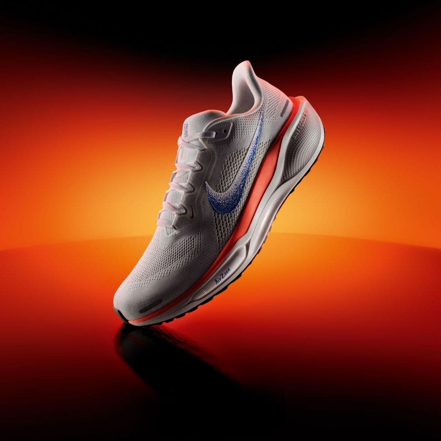 Nike Pegasus 41 Blueprint