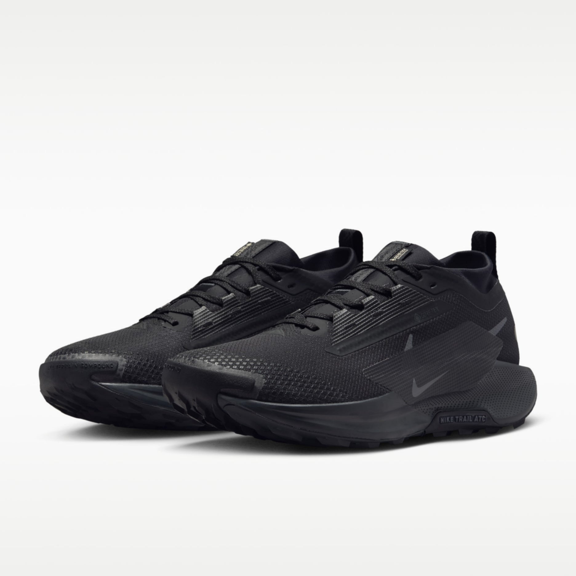 Nike Pegasus Trail 5 GORE-TEX