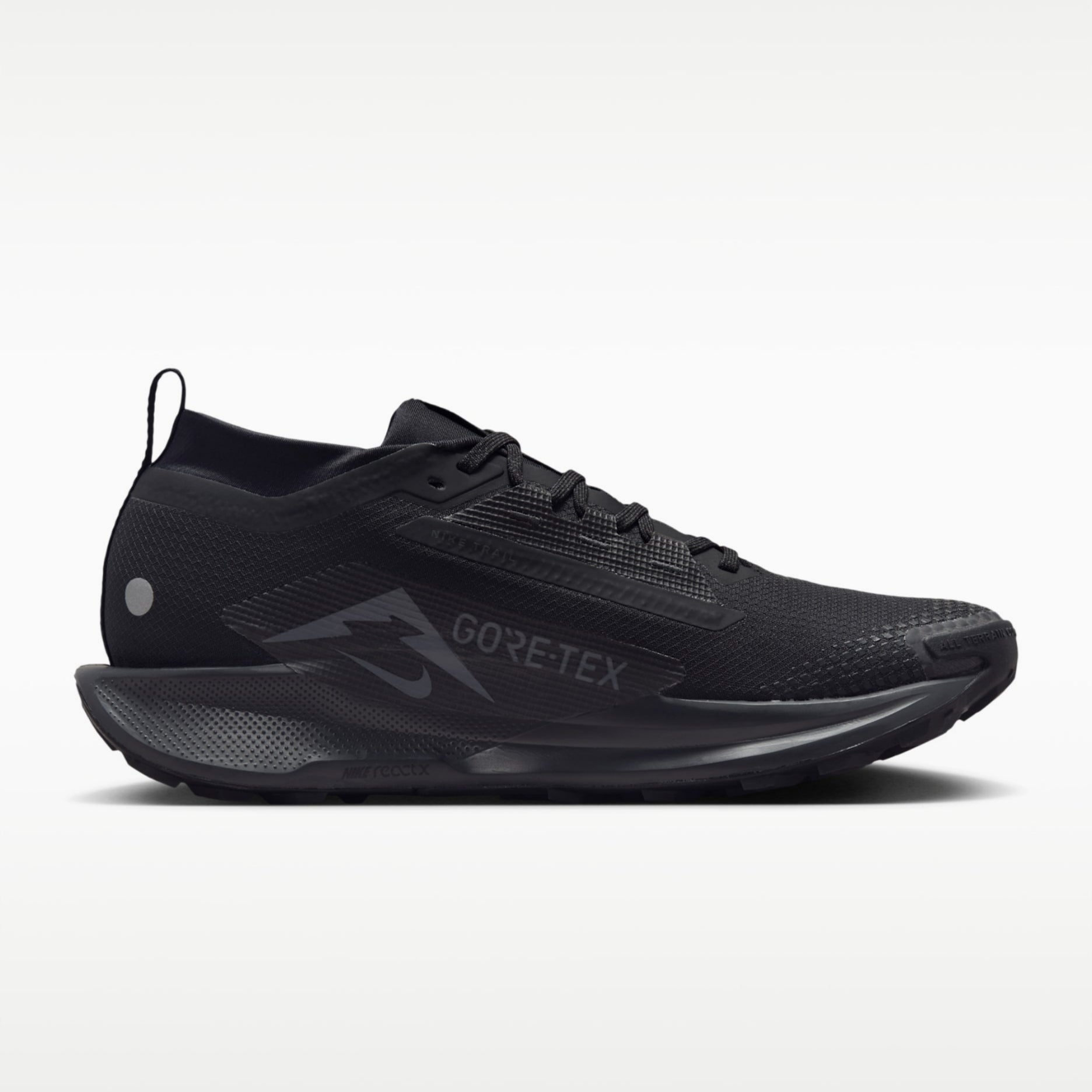 Nike Pegasus Trail 5 GORE-TEX