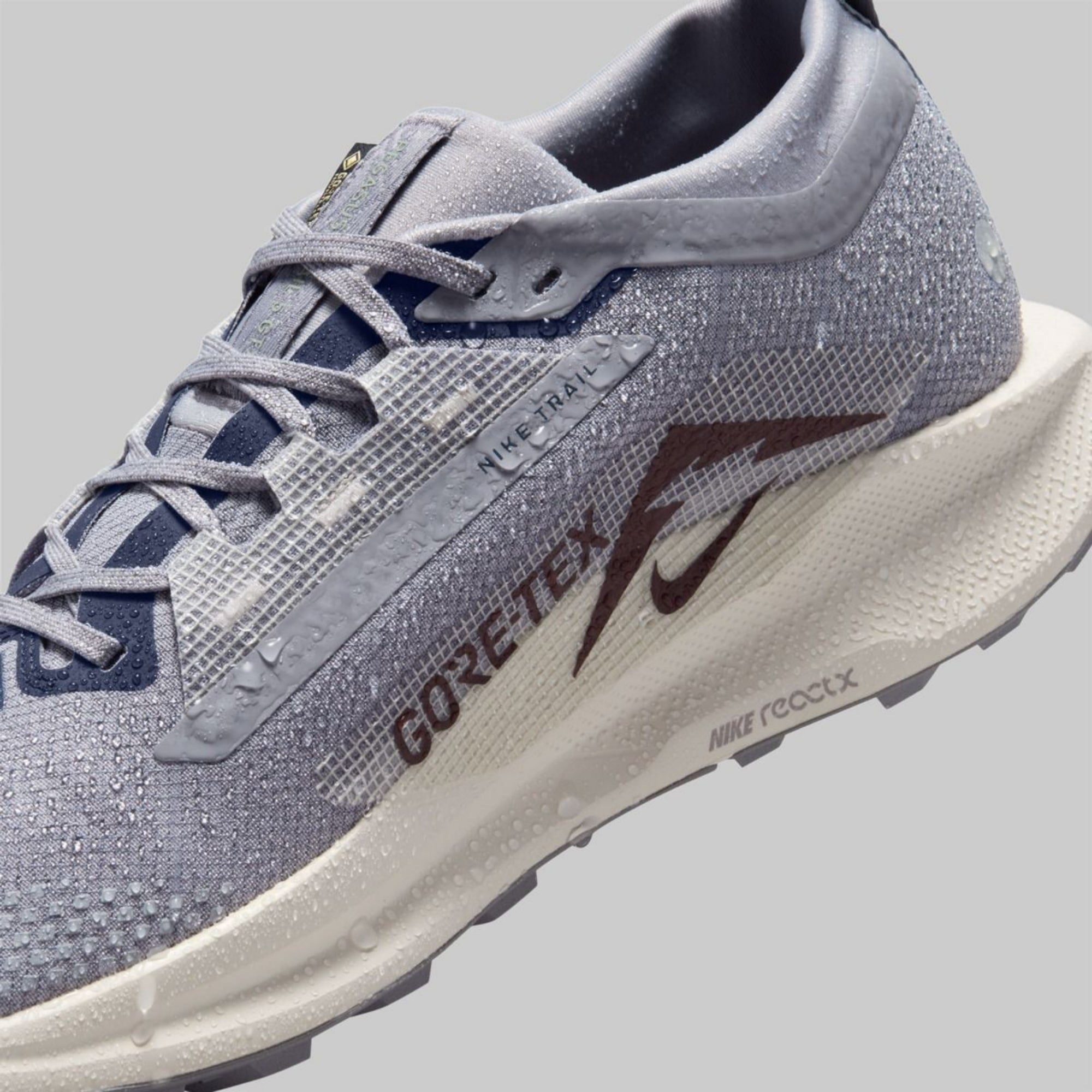 Nike Pegasus Trail 5 GORE-TEX