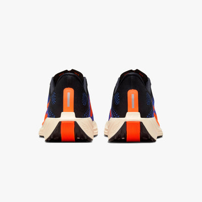 Nike Air ZoomX Pegasus Plus