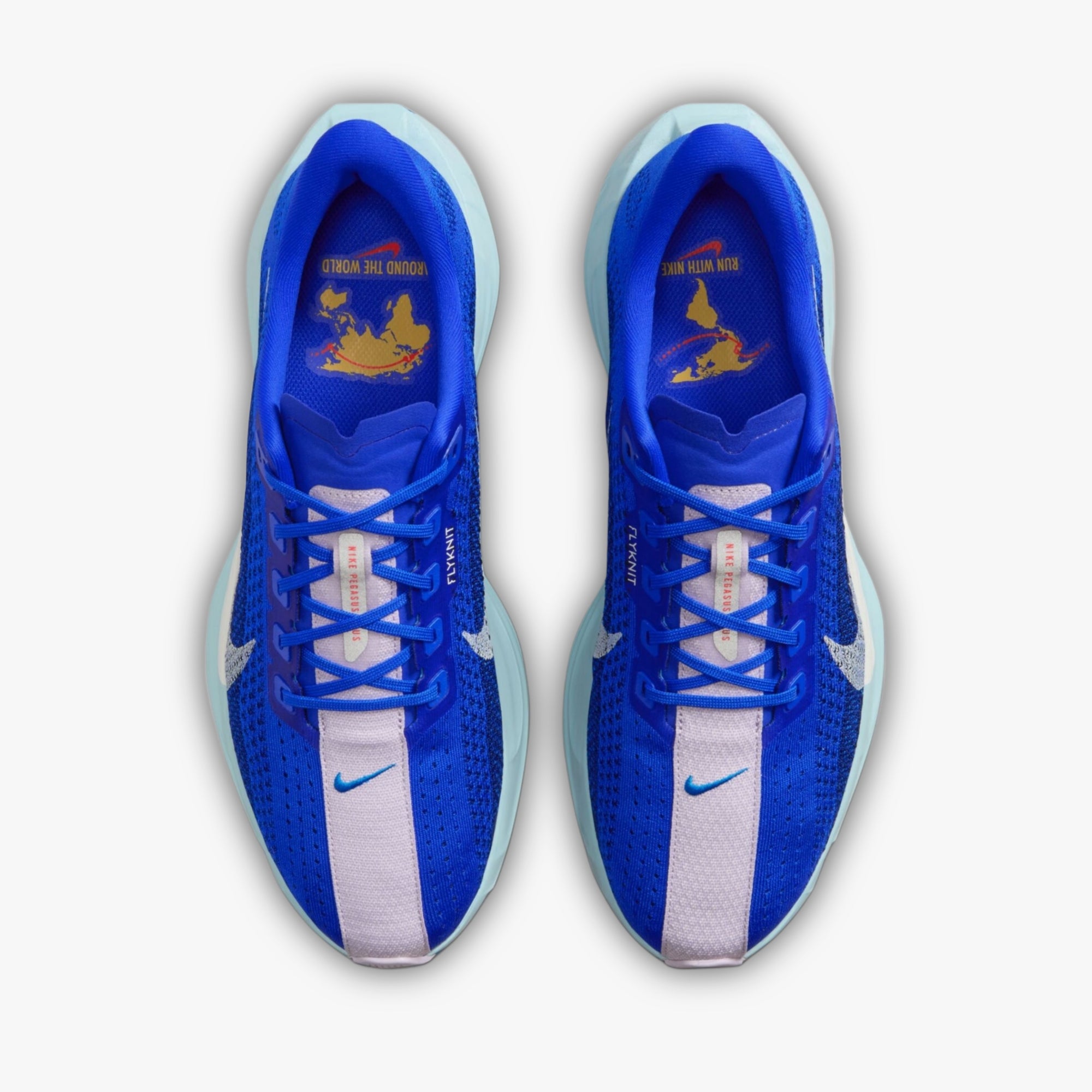 Nike Air ZoomX Pegasus Plus