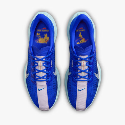 Nike Air ZoomX Pegasus Plus