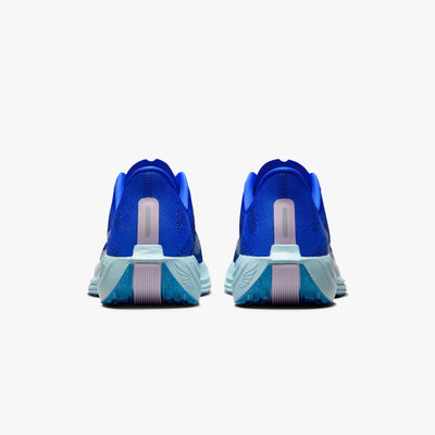 Nike Air ZoomX Pegasus Plus