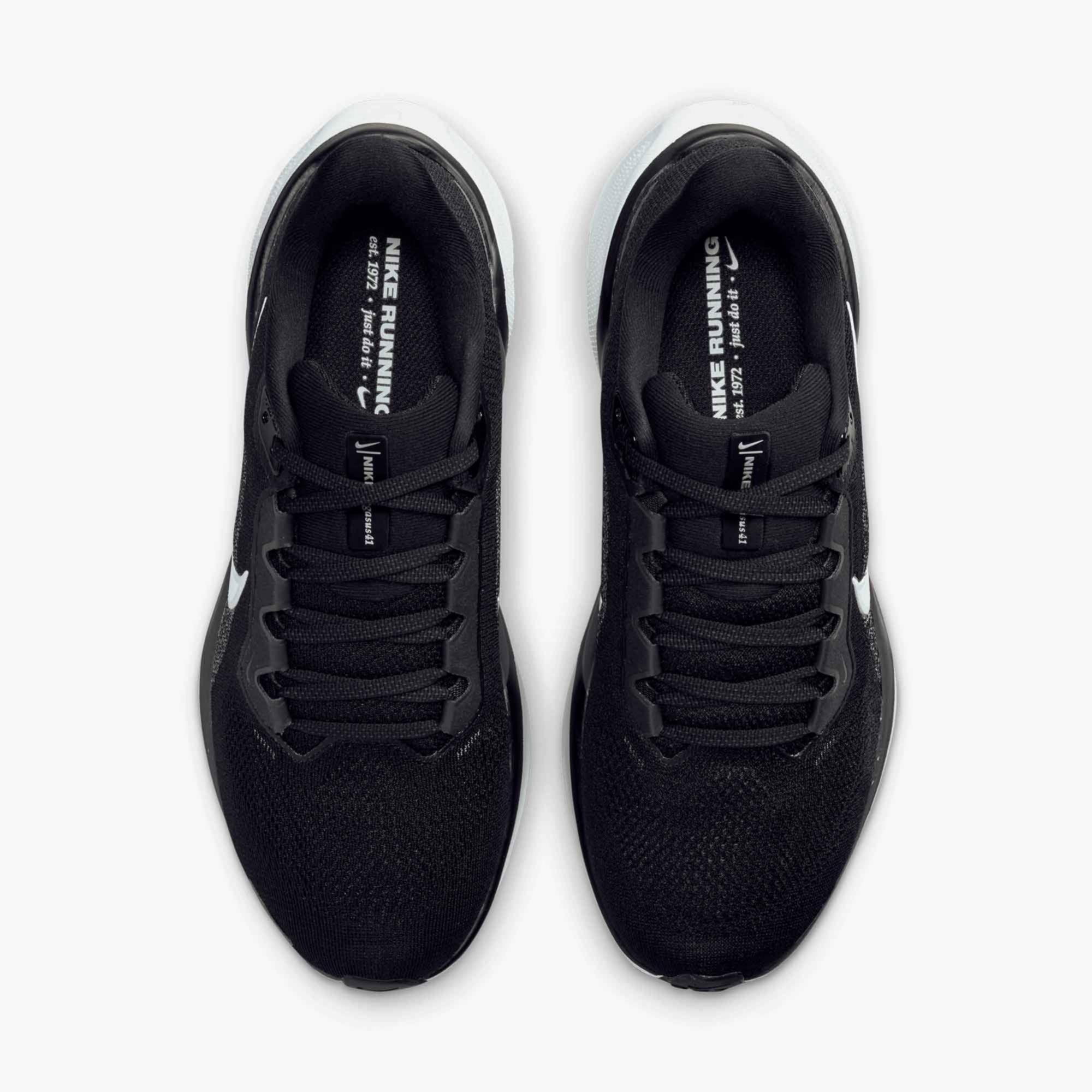 Nike Air Zoom Pegasus 41
