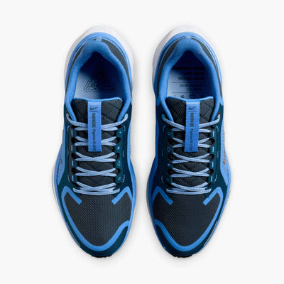 Nike Air Zoom Pegasus 41 GORE-TEX