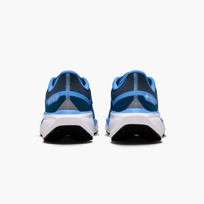 Nike Air Zoom Pegasus 41 GORE-TEX