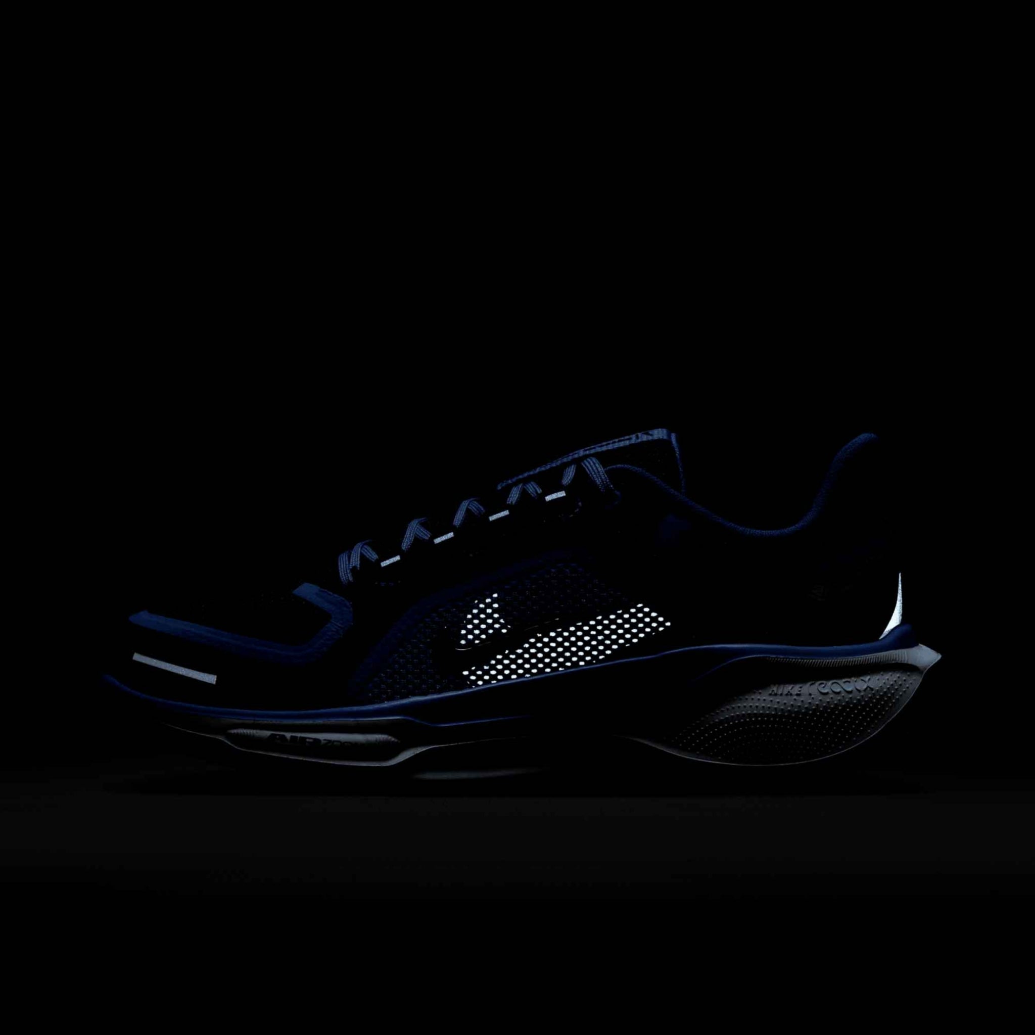 Nike Air Zoom Pegasus 41 GORE-TEX
