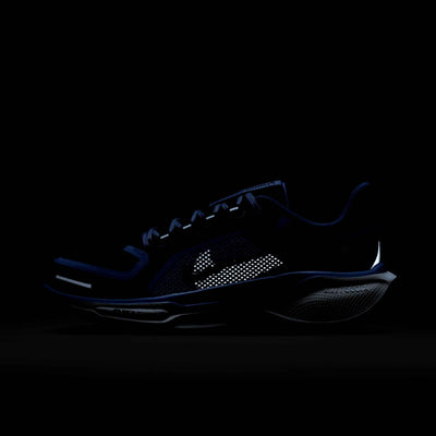 Nike Air Zoom Pegasus 41 GORE-TEX