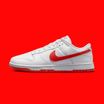 Nike Dunk Low Retro
