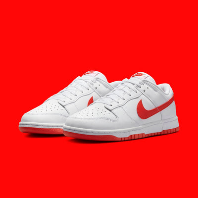 Nike Dunk Low Retro