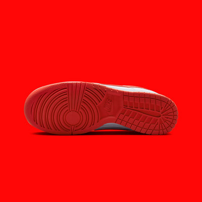 Nike Dunk Low Retro