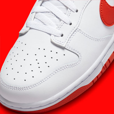 Nike Dunk Low Retro