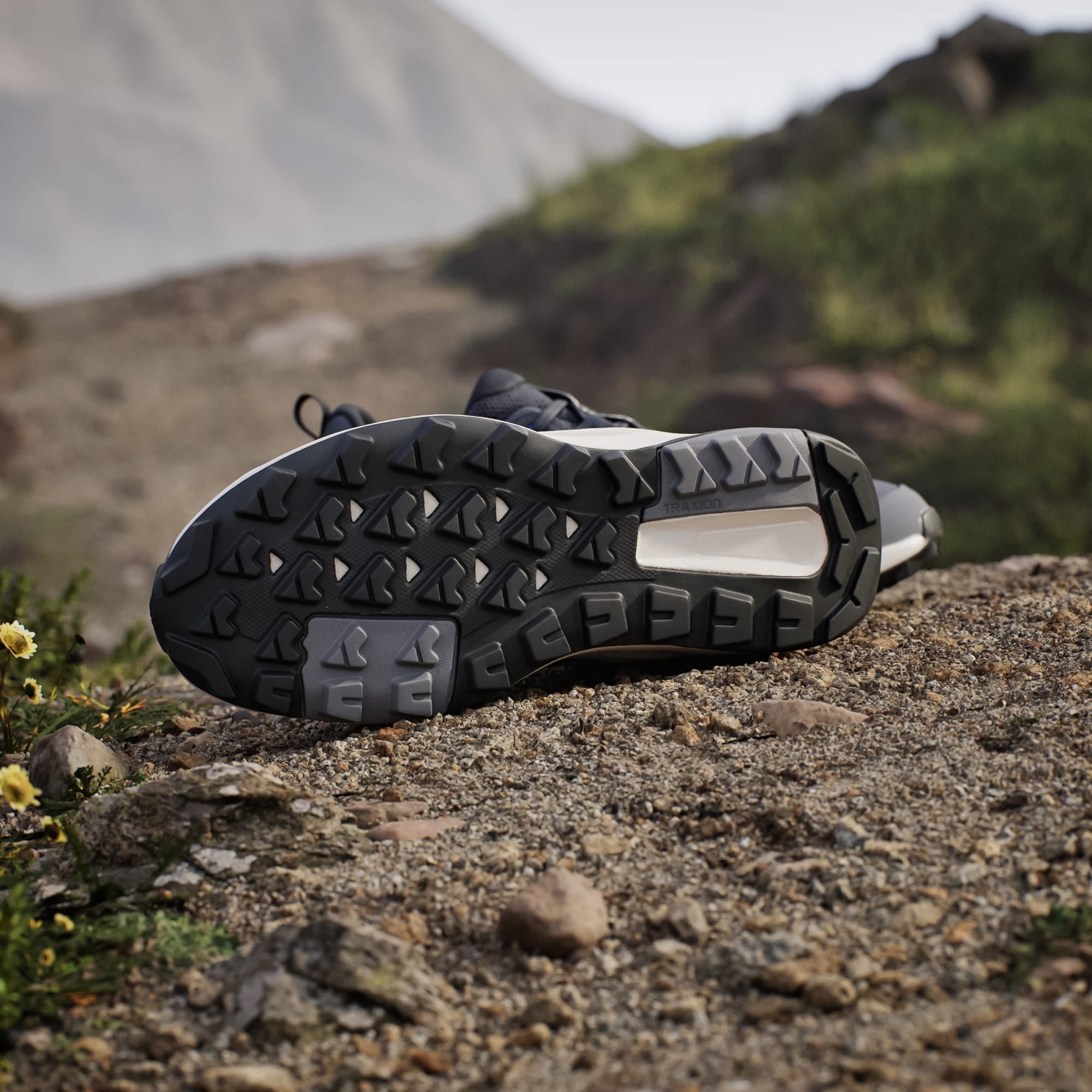 Adidas Terrex Anylander
