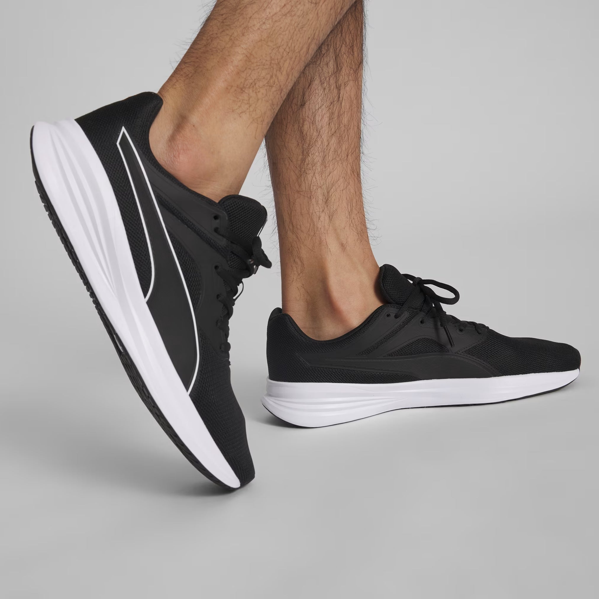 Puma Transport